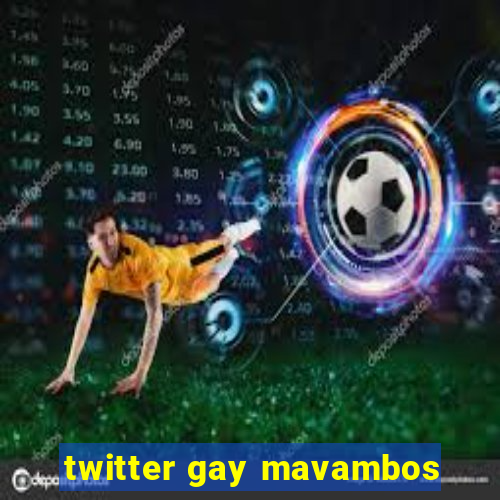 twitter gay mavambos